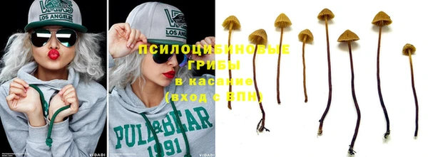 ешки Осташков