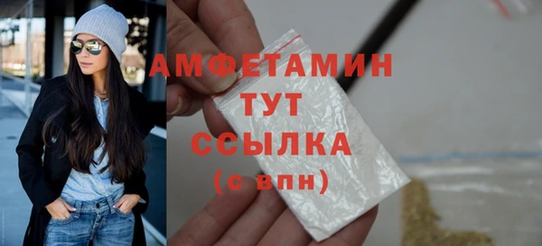 прущие грибы Нягань