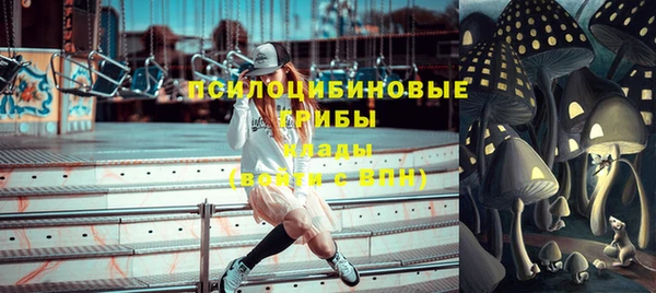 ПСИЛОЦИБИНОВЫЕ ГРИБЫ Нязепетровск