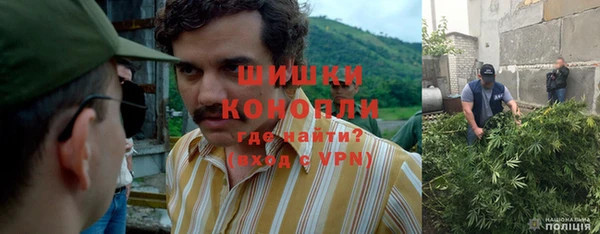 гидропоника Няндома