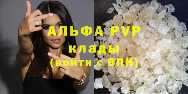 прущие грибы Нягань